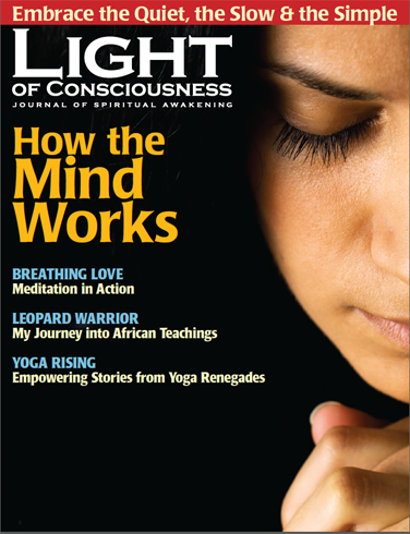 Vol 30 #2 How the Mind Works