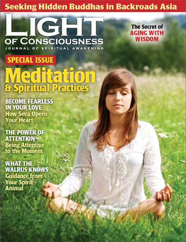 Vol 30 #3 The Purpose of Meditation