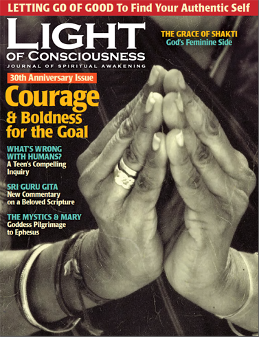 Vol 30 #1 Courage & Boldness for the Goal