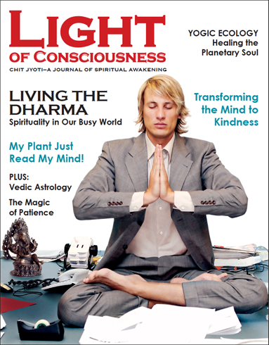 VOL 17 #2 Living the Dharma