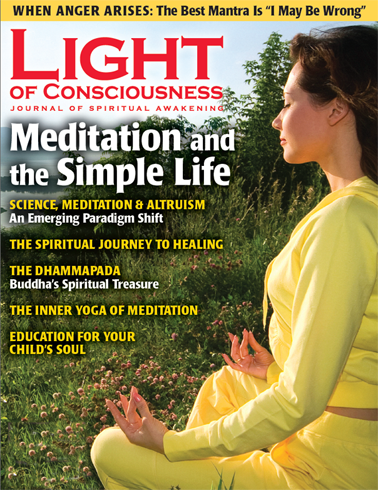 VOL 20 #4 Meditation and the Simple Life