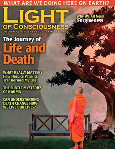 VOL 26 #2 Journey of Life and Death